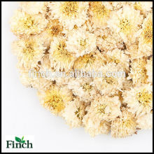 FT-014 crisantemos secados de Huanshan venden al por mayor el té herbario perfumado de la flor del sabor